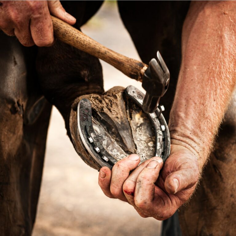 Farrier Truck For Sale: Your Ultimate Guide to Finding the Perfect Mobile Workshop